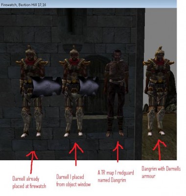 In order:Darnell placed ingame, Darnell from object window, random redguard, random redguard dressed like Darnell.