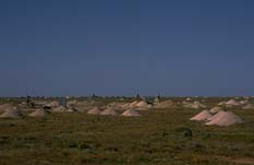 Gopher-holes, Coober Pedy, Australia